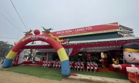 Chuyển đổi kinh doanh chính quy tại nông thôn cùng Bách Hóa Làng Tôi