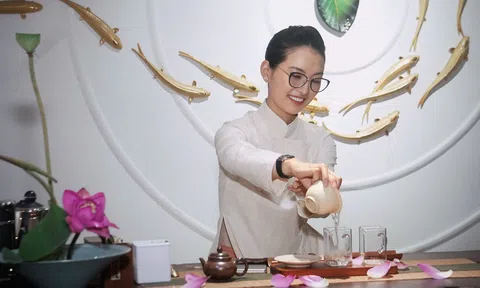Khi hương sen Hà Nội tìm về phương Nam