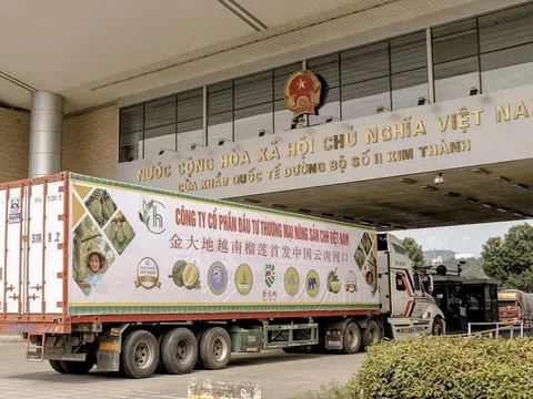 Thương lái Trung Quốc 'bao mua' nhiều loại nông sản Việt