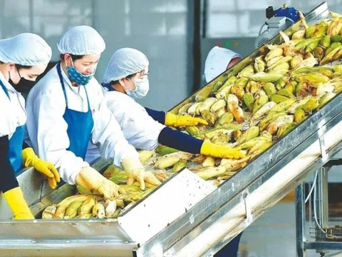 Xuất khẩu của Việt Nam đạt tỷ đô trong 9 tháng năm 2024