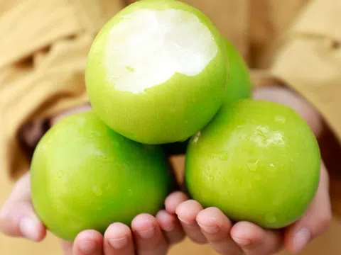 Táo sữa Đài Loan trái vụ giá đắt đỏ vẫn hút khách