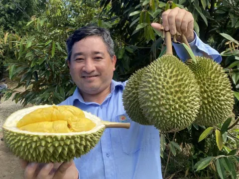 'Vua trái cây' của Việt Nam tiếp tục lập kỷ lục xuất khẩu thu về 3,3 tỷ USD