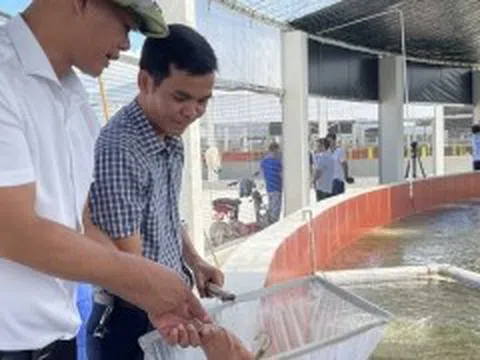 Quảng Ninh: Người nông dân hiện đại, không ngại đổi mới