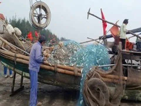 Ngư dân Nghệ An phấn khởi trúng 'lộc biển' đầu năm