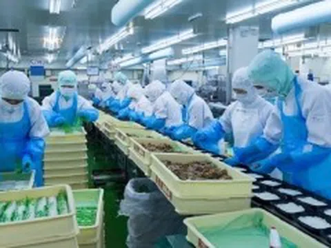 Tăng cường kiểm tra, giám sát vùng nguyên liệu, các cơ sở sơ chế, chế biến thực phẩm xuất khẩu