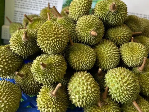Biểu tượng nông nghiệp xanh kết hợp du lịch nghỉ dưỡng tại Lâm Đồng