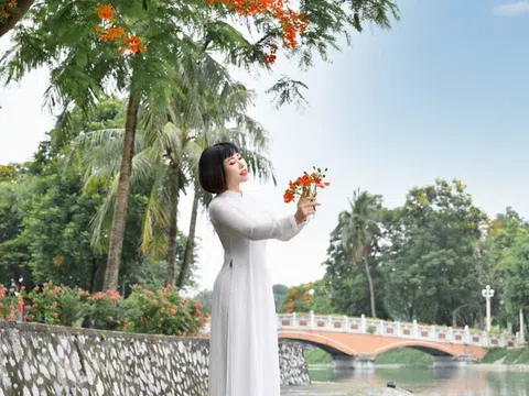 Công bố bản quyền bài thơ 'Tháng Sáu tô son lên cánh phượng'