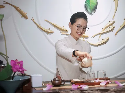 Khi hương sen Hà Nội tìm về phương Nam
