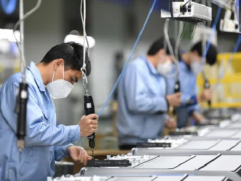 3 nhóm ngành có xu hướng tuyển dụng tăng mạnh cuối năm