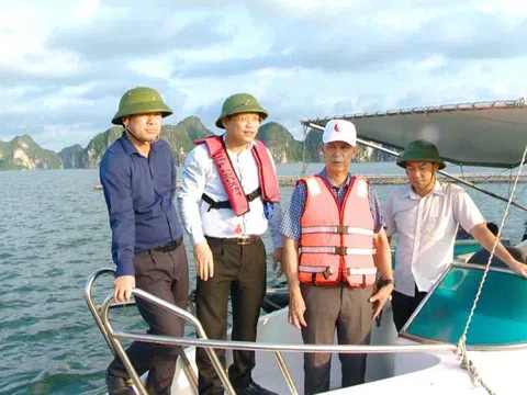 Quảng Ninh cùng cả nước gỡ “thẻ vàng” IUU