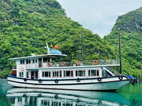 Khát vọng hồi sinh đội tàu du lịch vịnh Hạ Long sau bão Yagi: Cần lối thoát từ chính sách