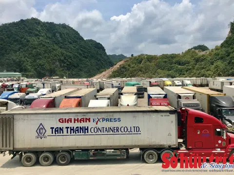 Hải quan - Những nỗi niềm biết tỏ cùng ai